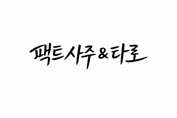 팩트&사주타로 마포점