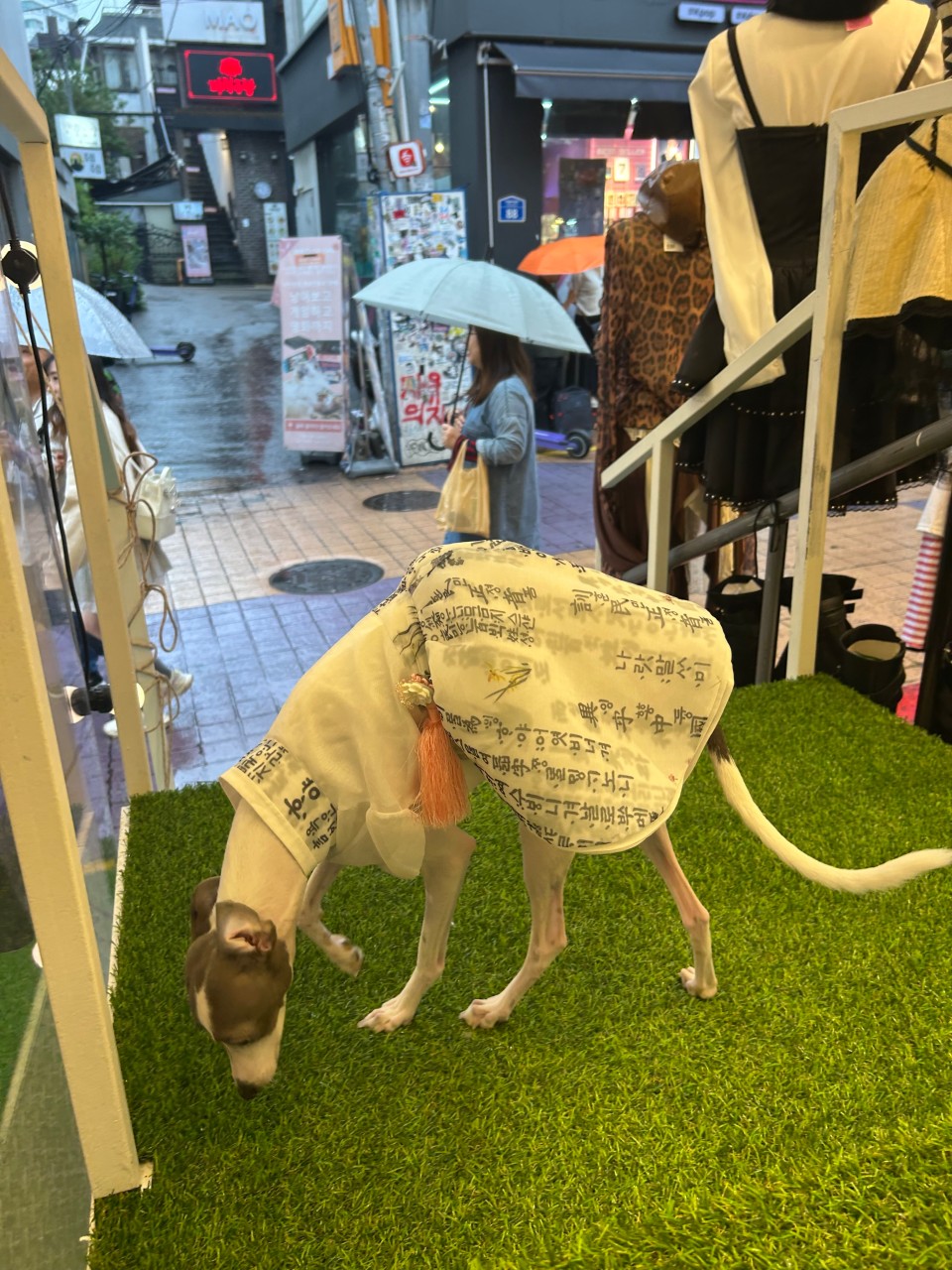 홍대사주랩 내부 4