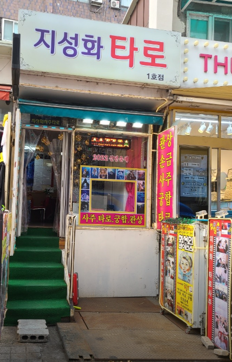 지성화타로 대표 이미지