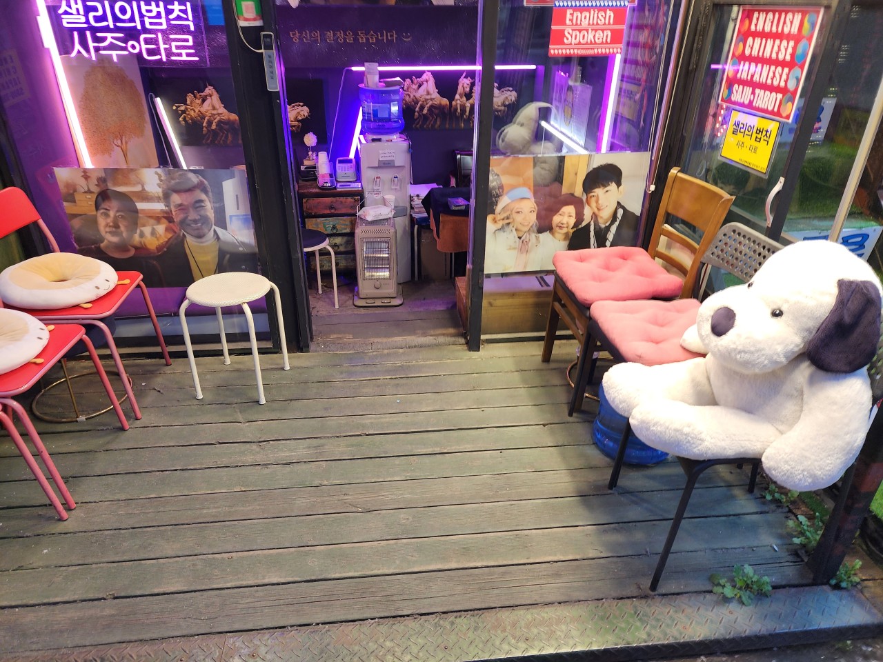 셀리의법칙 내부 2