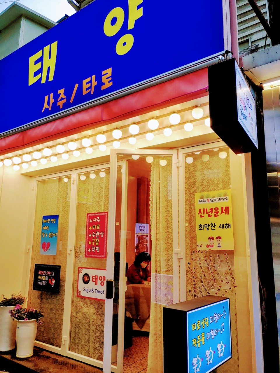 태양타로사주 대표 이미지